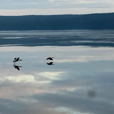 Tiny House Nr 2 슈빌로브제