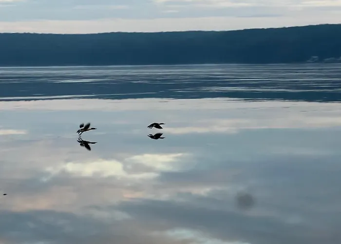 Tiny House Nr 2 Schwielowsee